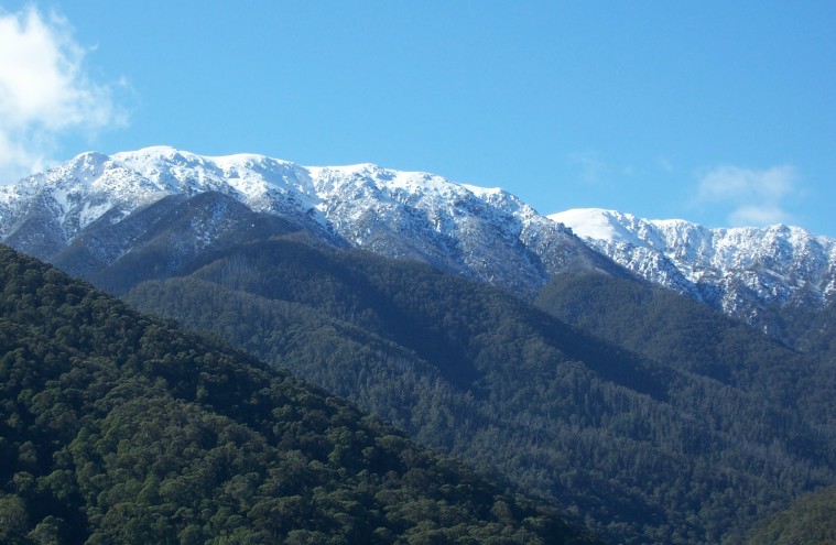 Bogong from Ropers Lookout