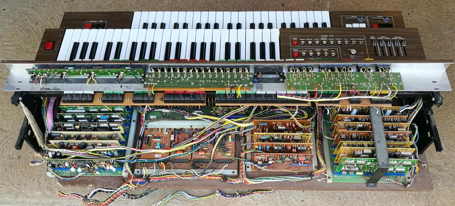 Elka organ guts